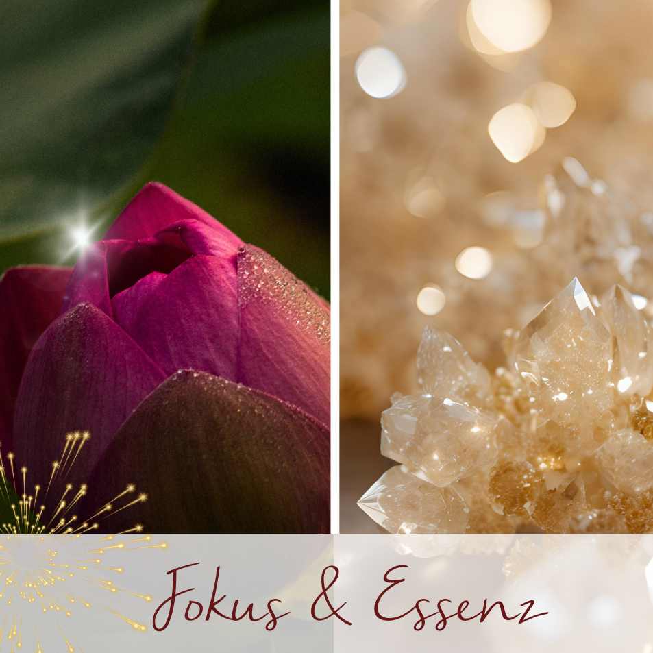 Fokus & Essenz